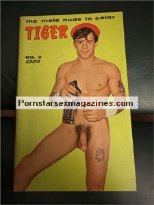 Tiger no 2 Gay Art Male Beefcake DSI 1966